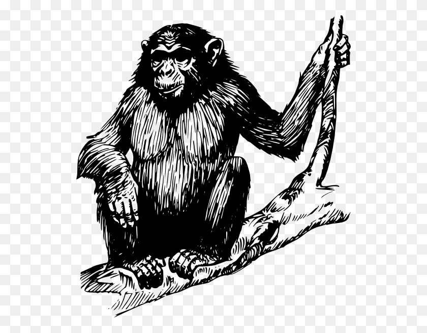 540x594 Как Установить Использование Ape Svg Vector Drawang Ape, Wildlife, Mammal, Animal Hd Png Download