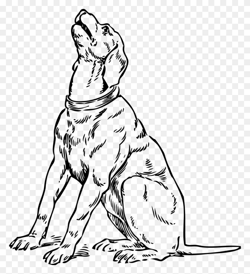 813x900 How To Set Use Barking Dog Svg Vector Dog Looking Up Drawing, Outdoors, Nature, Outer Space HD PNG Download