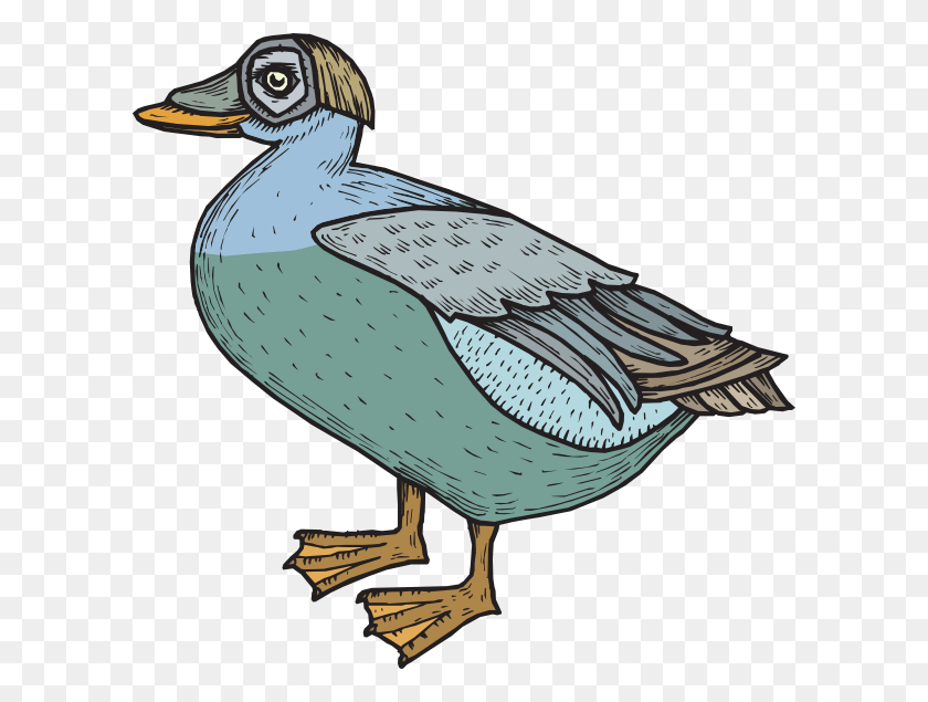 600x575 Как Установить Использование Сине-Зеленой Пернатой Утки Svg Vector Duck, Bird, Animal, Waterfowl Hd Png Download