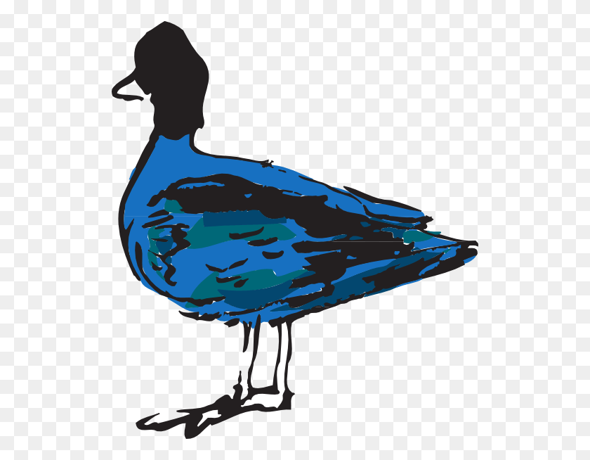 522x594 How To Set Use Blue Duck Svg Vector Duck, Bird, Animal, Seagull HD PNG Download