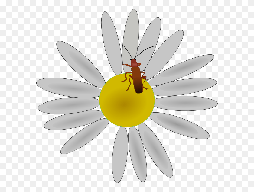 600x576 Как Установить Use Bug On A Daisy Svg Vector, Plant, Flower, Daisies Hd Png Download