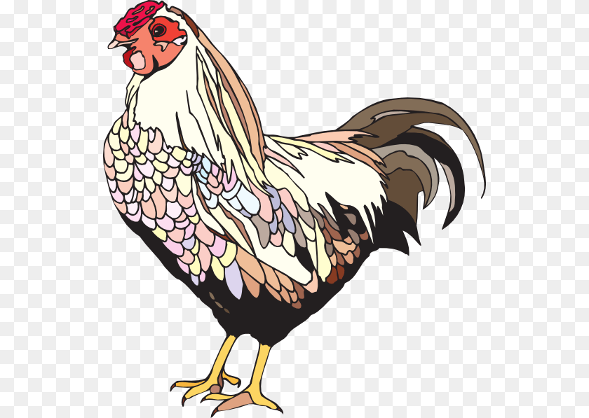 546x597 How To Set Use Colorful Chicken Svg Vector, Animal, Bird, Poultry, Fowl Sticker PNG