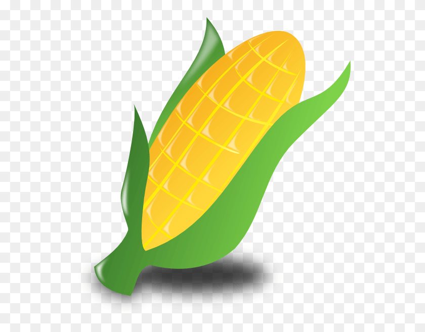 546x597 Как Установить Использование Кукурузного Детеныша Svg Вектор Кукурузы Картинки, Растения, Овощи, Еда Hd Png Скачать