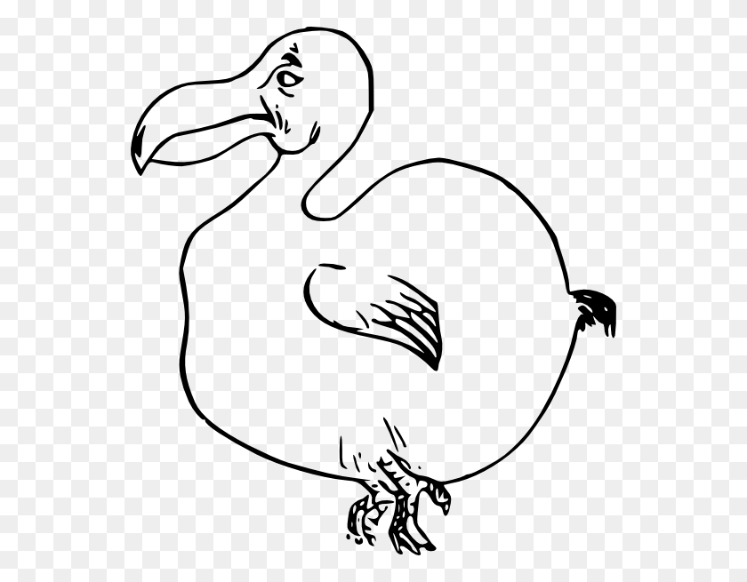 546x595 Как Установить Использование Dodo Bird Svg Vector, Животное, На Открытом Воздухе, Утка Hd Png Скачать