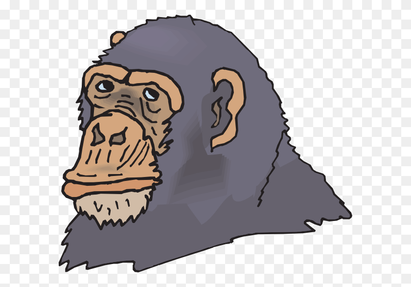 600x527 How To Set Use Gray Chimp Head Svg Vector Logo Simpanse Vector, Animal, Mammal, Baseball Cap HD PNG Download