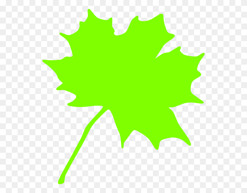 552x597 Как Установить Использование Зеленого Листа Клипарт, Лист, Растение, Кленовый Лист Hd Png Скачать