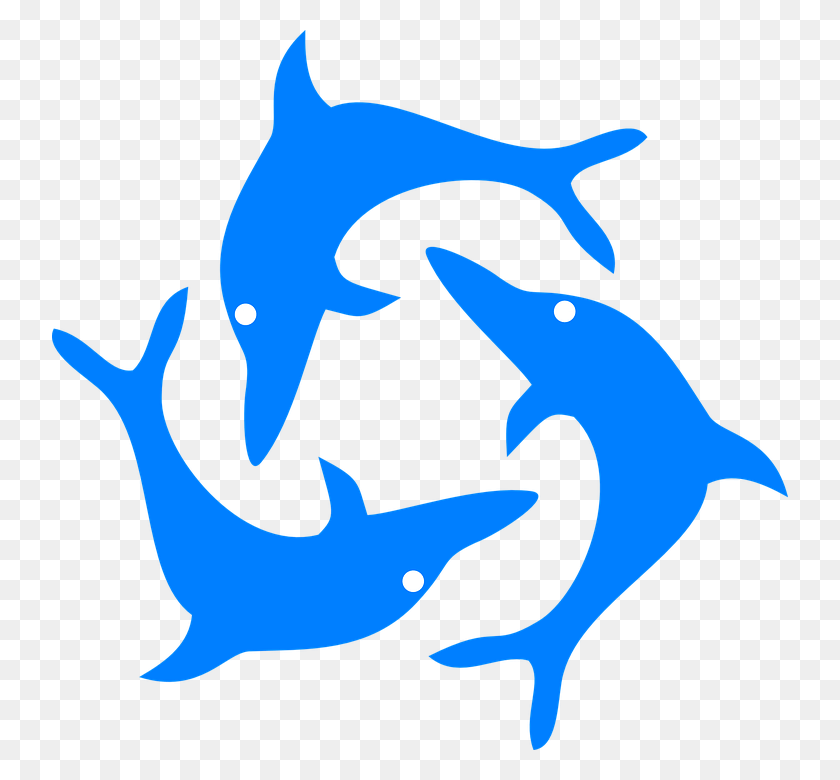 736x720 How To Set Use Jumping Dolphins Svg Vector, Sea Life, Animal, Fish HD PNG Download