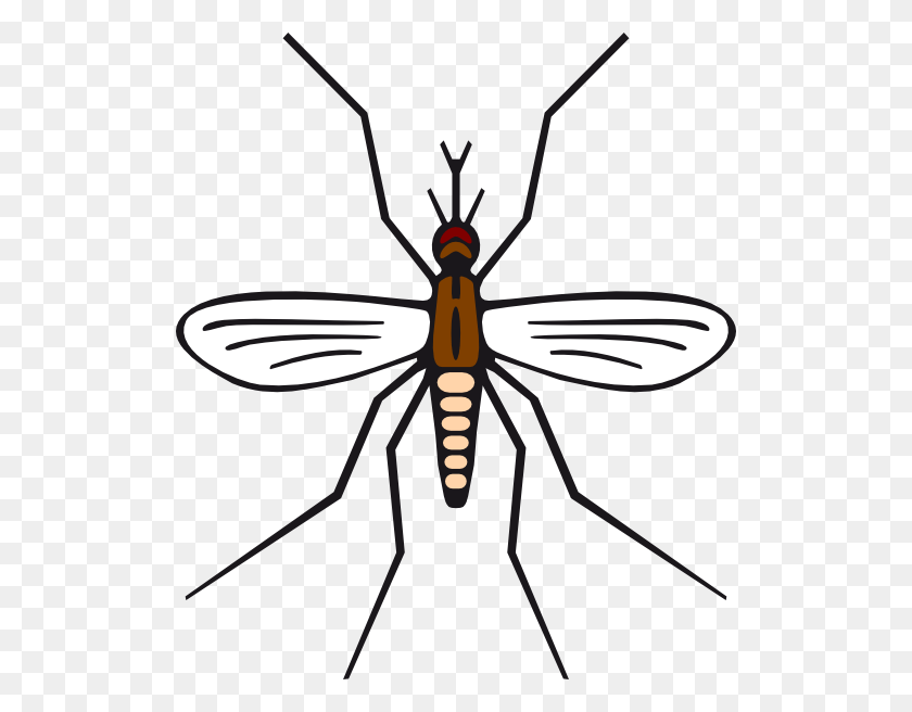 516x596 How To Set Use Mosquito In Brown Color Svg Vector, Insect, Invertebrate, Animal HD PNG Download