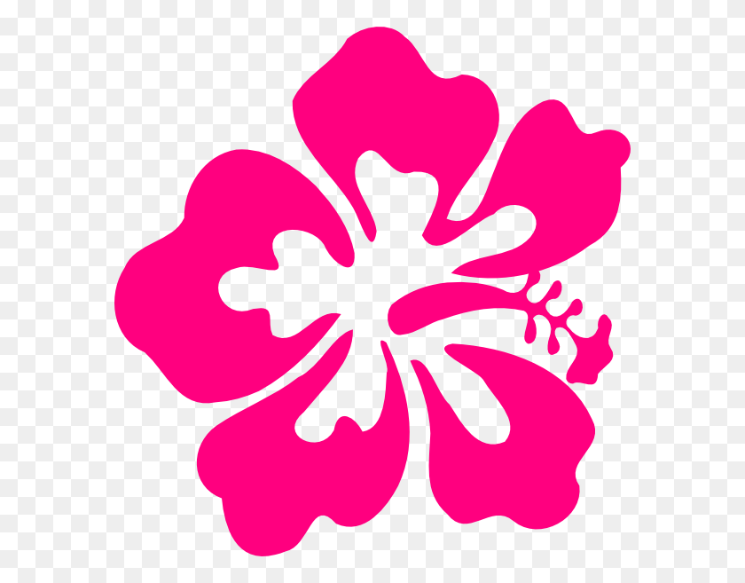 582x597 How To Set Use One Hibiscus Svg Vector, Flower, Plant, Blossom HD PNG Download