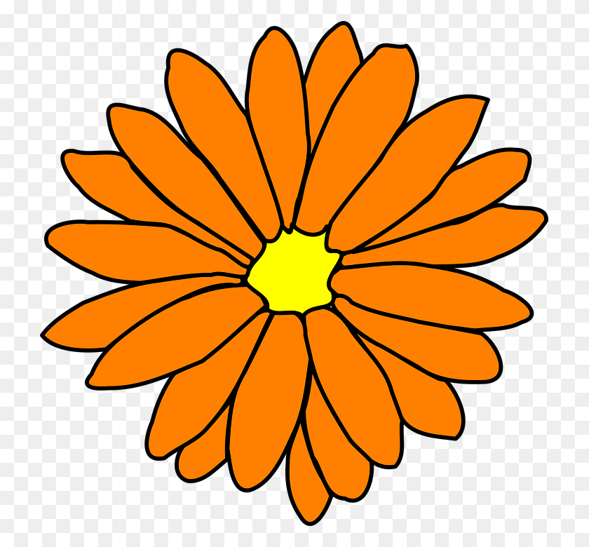 725x720 Как Установить Использовать Оранжевый Цветок Svg Вектор, Растение, Цветок, Цветение Hd Png Скачать