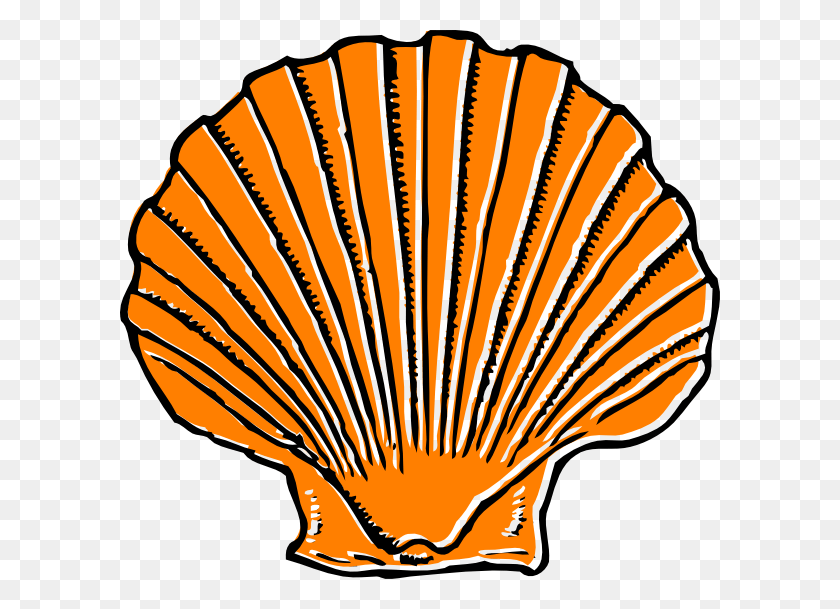 600x549 How To Set Use Orange Seashell Svg Vector, Clam, Invertebrate, Sea Life HD PNG Download