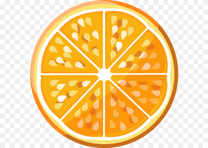 How To Set Use Orange Slice Clipart, Citrus Fruit, Food, Fruit, Plant Transparent PNG