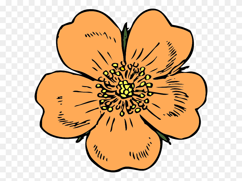 600x570 Как Установить Использование Персика Значок Цветок Дикая Роза, Растение, Пыльник, Цветение Png Скачать