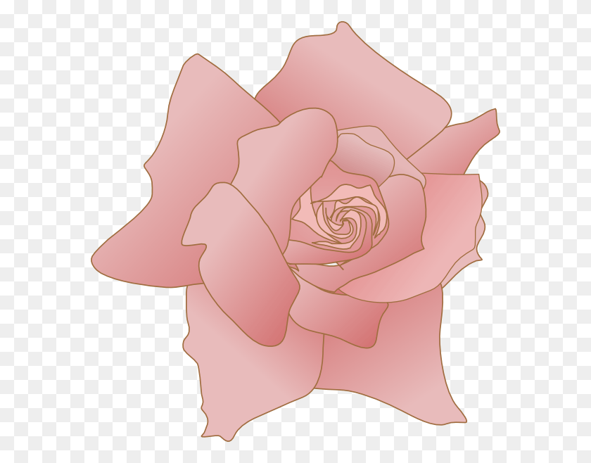 582x598 How To Set Use Rose Svg Vector, Plant, Flower, Blossom HD PNG Download