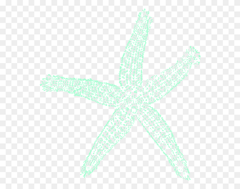564x599 How To Set Use Tealgreen Starfish Svg Vector, Sea Life, Animal, Invertebrate HD PNG Download
