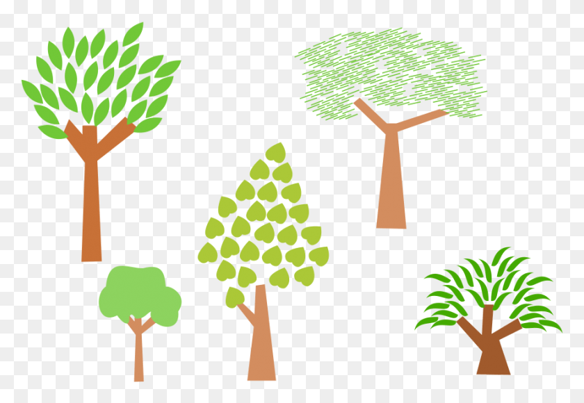 879x587 Как Установить Использование Деревьев Svg Вектор, Растительность, Растение, Дерево Hd Png Скачать