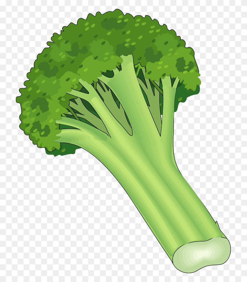 731x900 Descargar Png / Vegetales Png