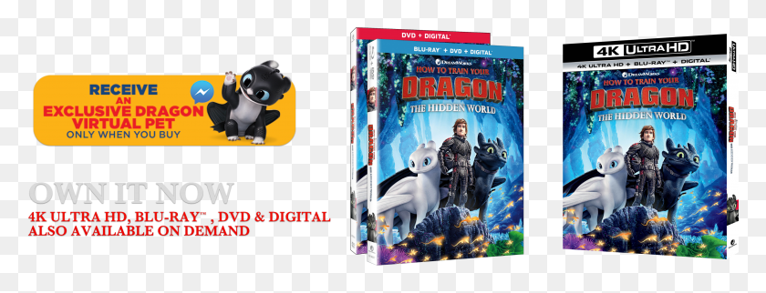 3480x1171 How To Train Your Dragon 3 Bluray Review Book Cover, Disk, Dvd, Person HD PNG Download