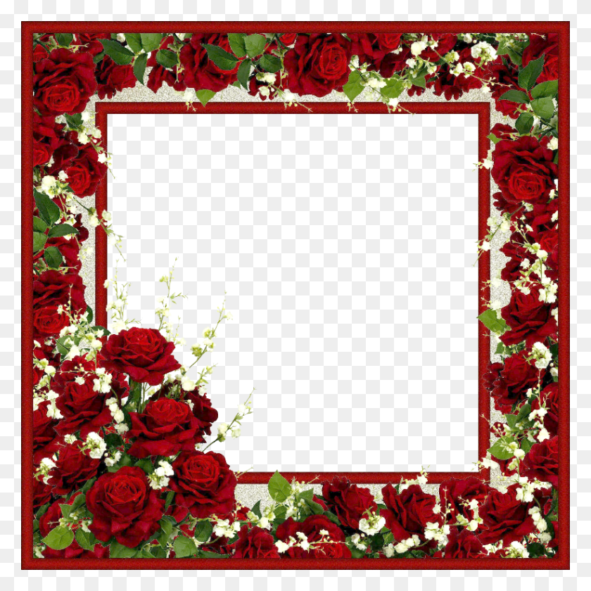822x822 Http 2 Bp Blogspot Com Xdgvbn 4w4y Picture Frame, Plant, Flower, Blossom HD PNG Download