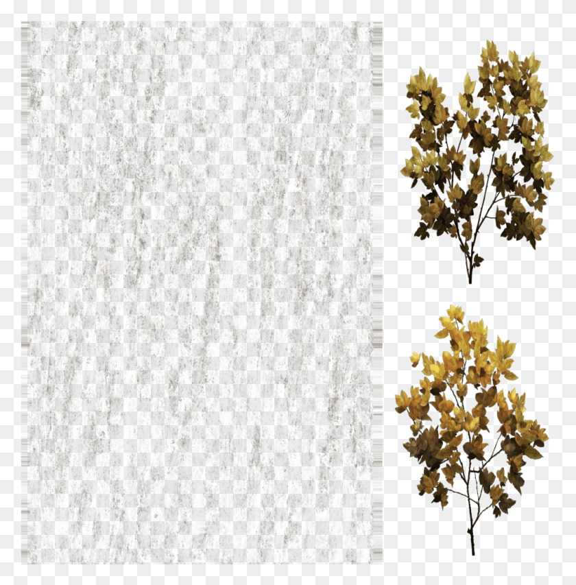 1008x1025 Http Forum Mymmo Czdiffuse Mossy Cup Oak, Plant, Tree, Tree Trunk HD PNG Download