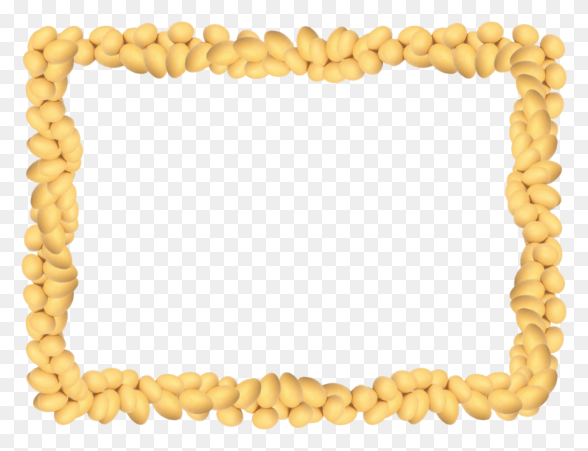 1592x1193 Http Img245 Imageshack Picture Frame, Plant, Food, Vegetable HD PNG Download