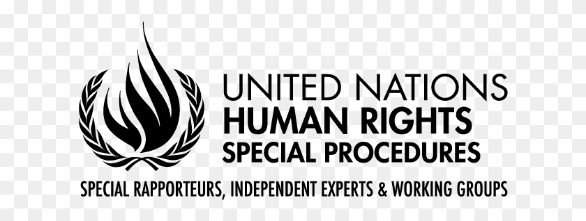616x258 Http Righttothecityplatform Org Brquestionnaire United Nations Human Rights Special Procedures, Gray, World Of Warcraft HD PNG Download