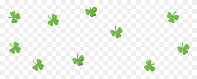 844x301 Http Stronge Org Shamrock, Green, Plant, Flower HD PNG Download