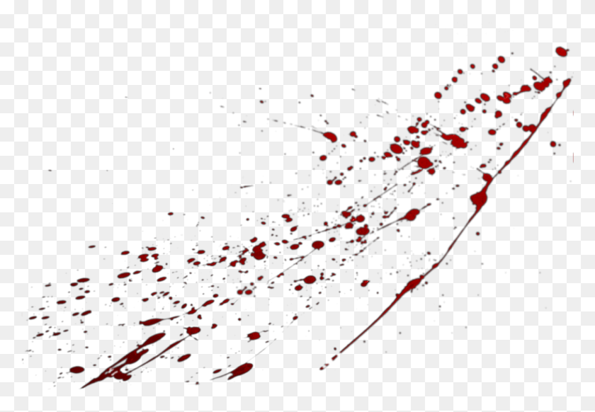 2049x1372 Https S3 Amazonaws Comfiles D20 1537581847 Blood Stain Pattern, Outdoors, Light, Nature HD PNG Download