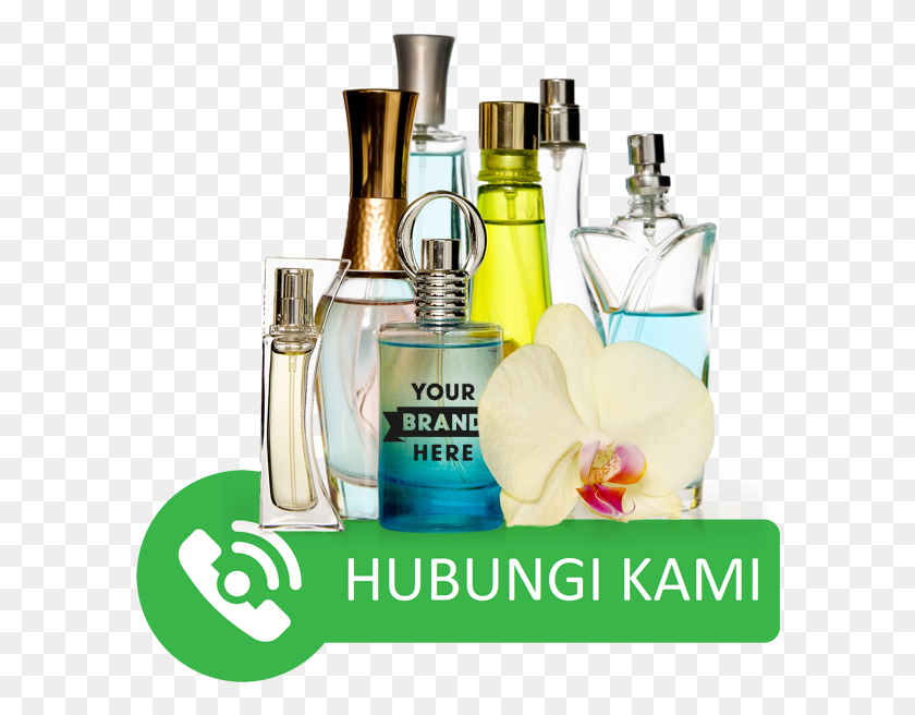 592x596 Hubungi Kami Adf Amp Pcd Ny 2017, Bottle, Perfume, Cosmetics HD PNG Download