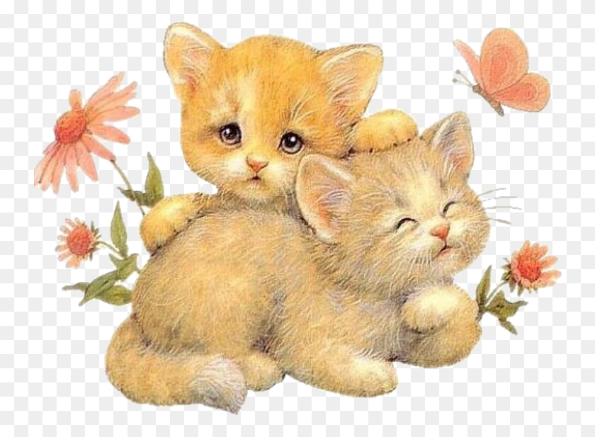 746x557 Abrazo, Amor, Gatito, Abrazo, Gato, Mascota, Mamífero Hd Png