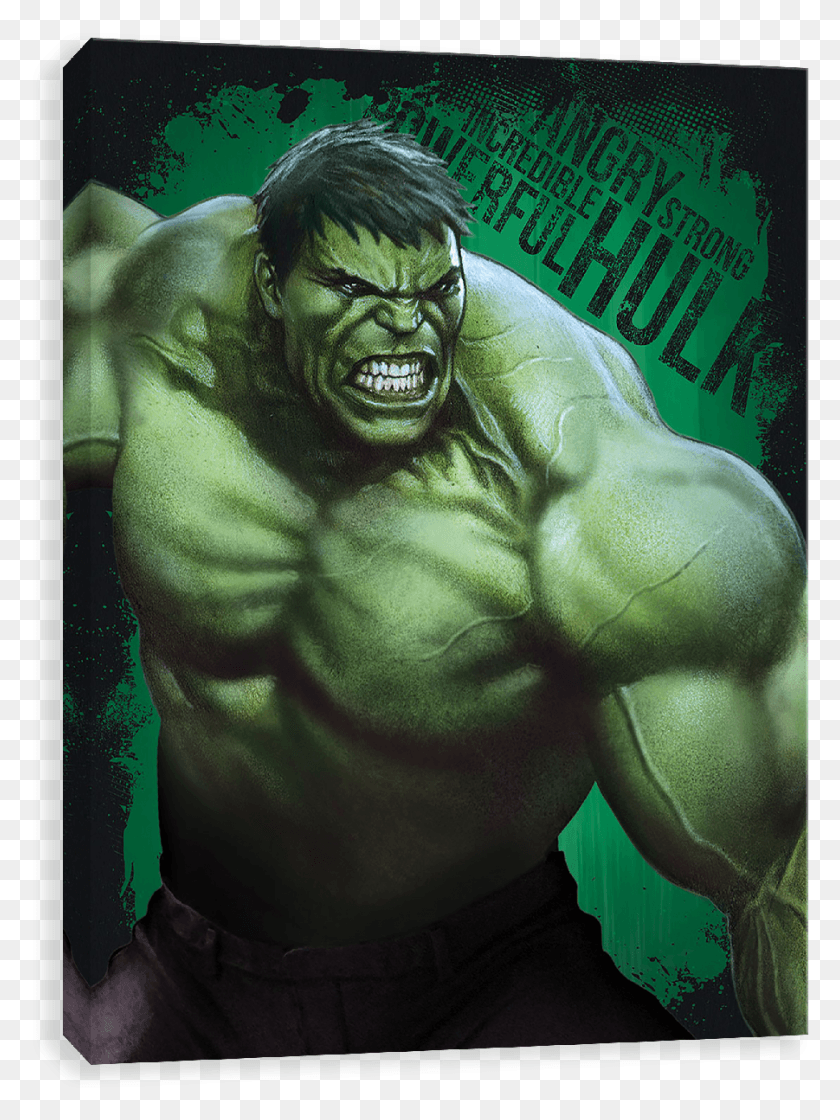 901x1225 Hulk, Ape, Wildlife, Mammal HD PNG Download