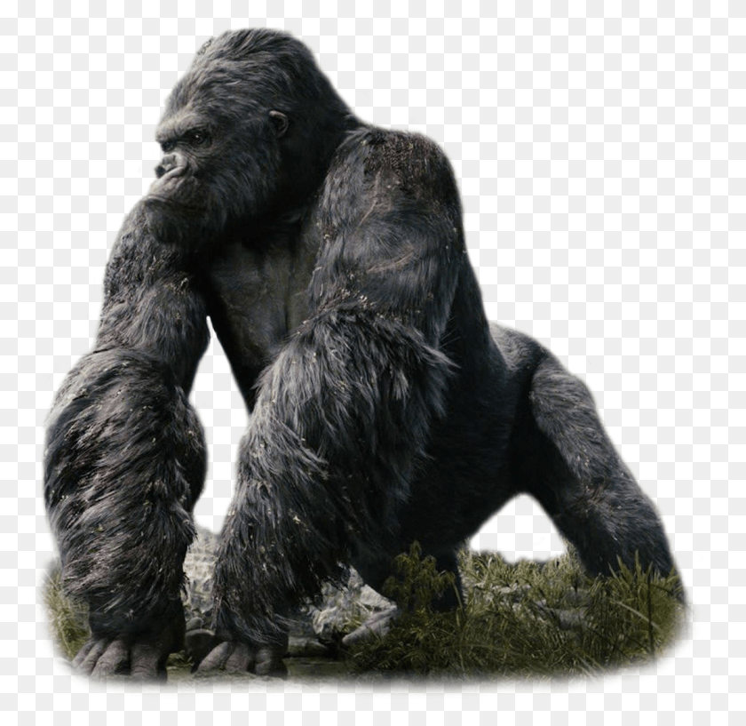 1112x1080 Hulk Vs Kingkong, Ape, Wildlife, Mammal HD PNG Download