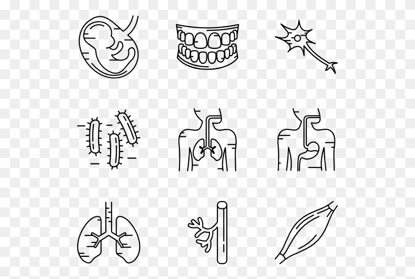 529x505 Human Body Parts Doodle Body Parts Vector, Gray, World Of Warcraft HD PNG Download