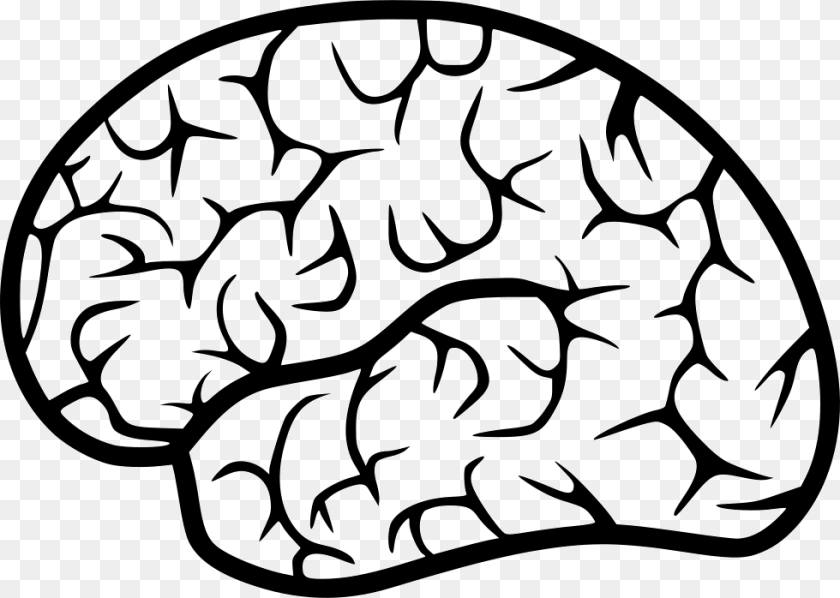 Human Brain, Stencil, Baby, Person, Home Decor Clipart PNG