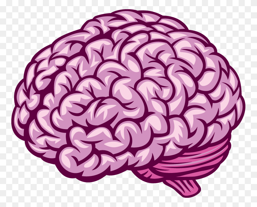 765x615 Человеческий Мозг Мозг Вектор, Георгин, Цветок, Растение Hd Png Скачать