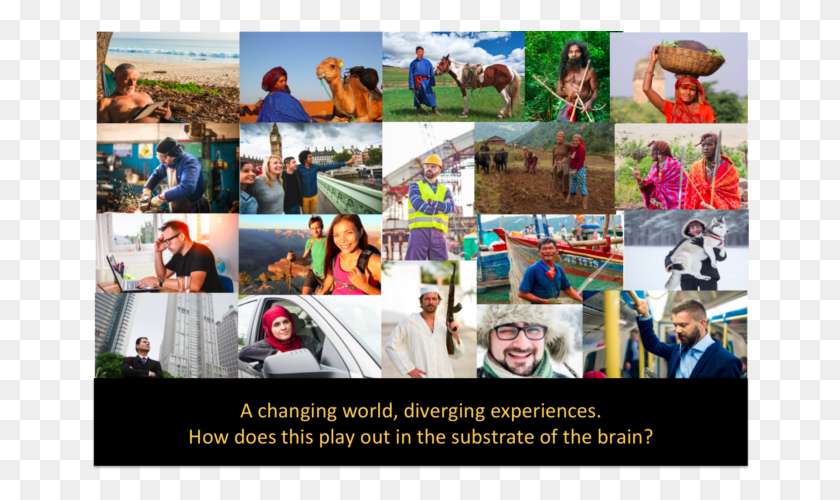 660x440 Human Brain Diversity Collage, Poster, Advertisement, Person HD PNG Download
