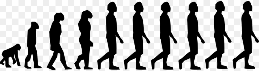 Human Evolution, Gray PNG