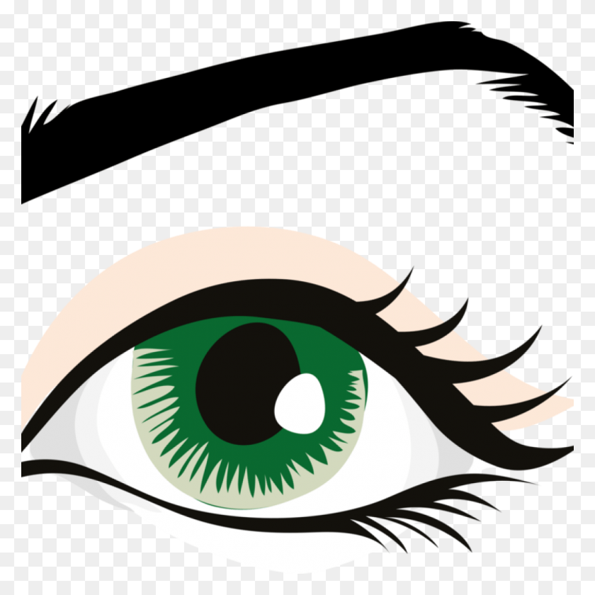 1024x1024 Human Eye Clip Art Human Eye Eyebrow Eyelid Organ Free Eye With Eyebrow Clipart, Graphics, Animal HD PNG Download