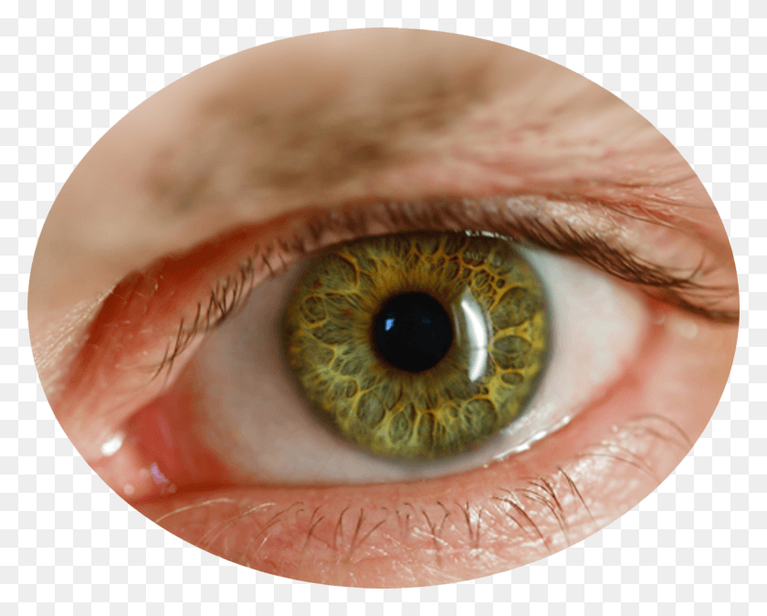 1216x959 Human Eyes, Contact Lens, Person, Photography HD PNG Download