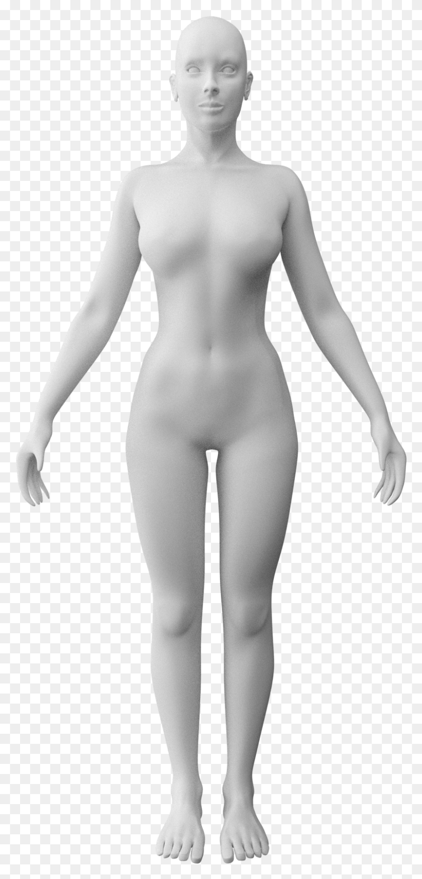 801x1735 Human Female Anim Standing, Mannequin, Person, Torso HD PNG Download