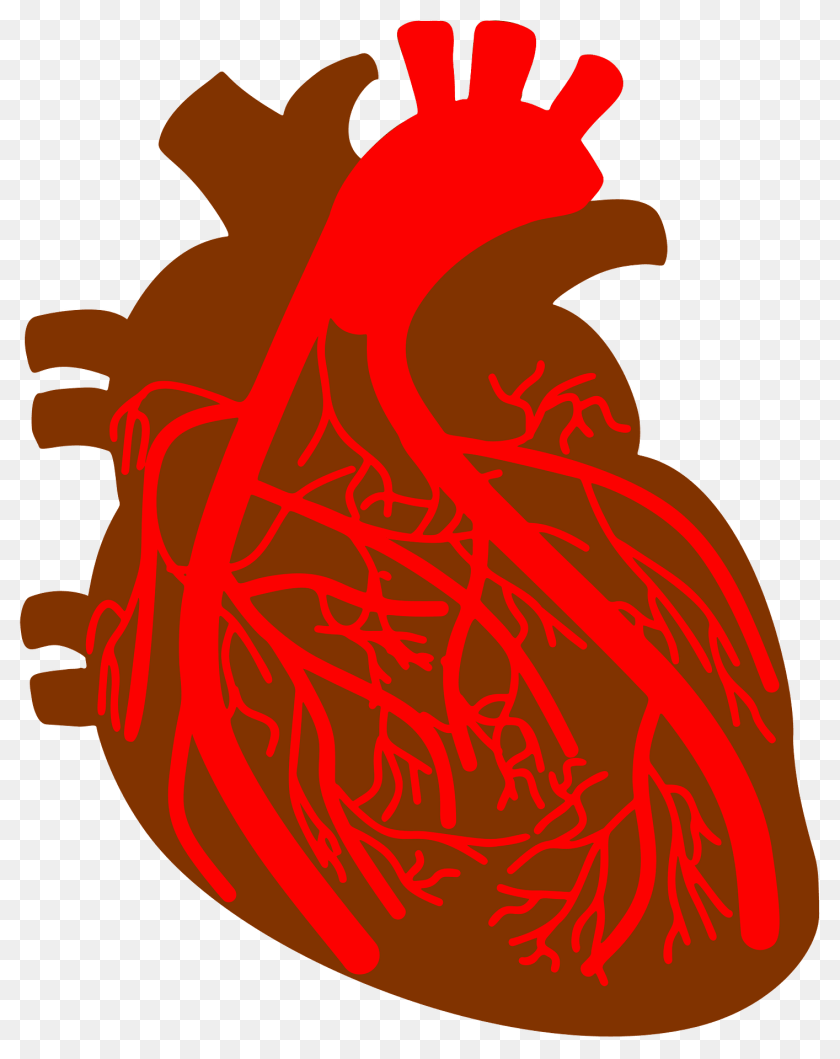 Human Heart Clipart, Dynamite, Weapon, Bag PNG
