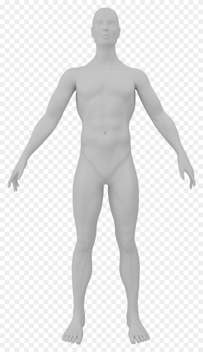 957x1716 Human Male Anim Burpees Muskelgruppen, Mannequin, Person, Alien HD PNG Download
