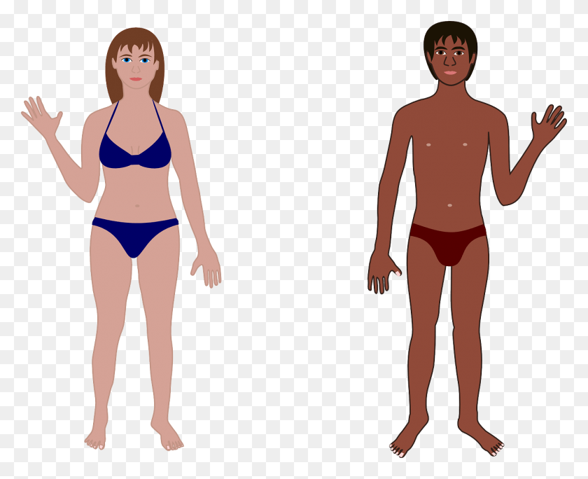 1280x1025 Hombre Humano Mujer Traje De Baño Imagen Cuerpo Humano, Ropa, Ropa, Persona Hd Png