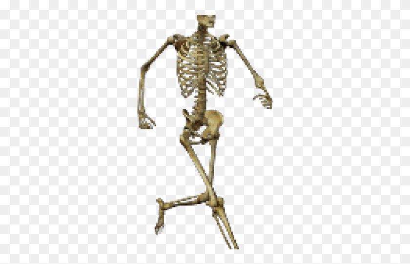 280x481 Esqueleto Humano, Cruz, Símbolo, Flecha Hd Png