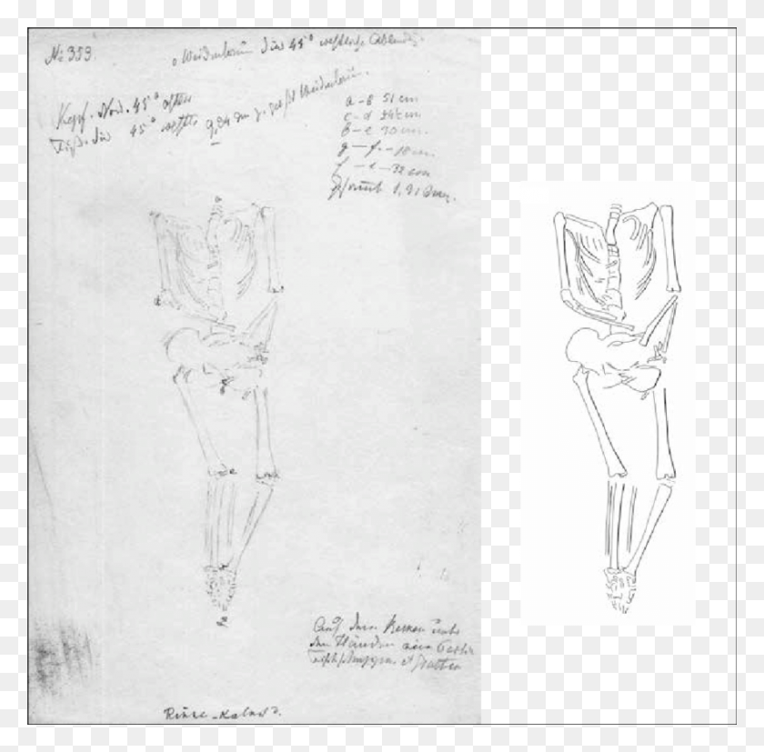 850x836 Descargar Png Cráneo Humano Bgaeu Rv 1852 Sketch, Texto Hd Png