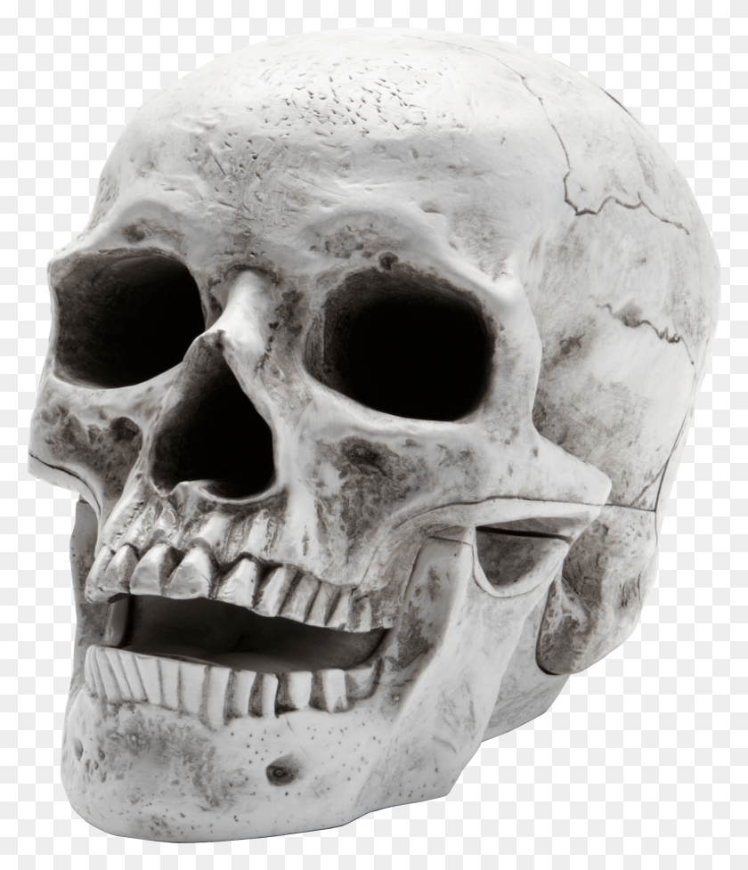 1795x2111 Descargar Png Cráneo Humano Ojo Efecto Mandela, Esqueleto, Cabeza, Mandíbula Hd Png
