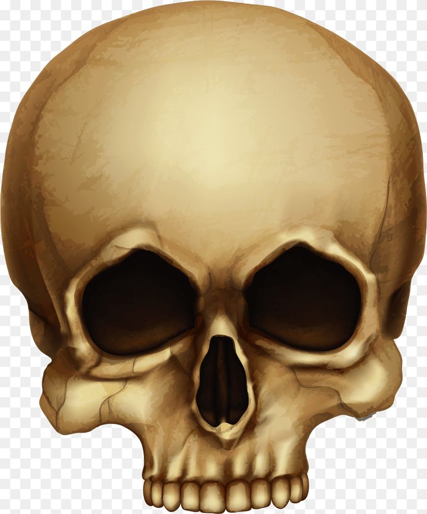 3001x3605 Human Skull Transparent Clipart Halloween Skull, Art, Graphics, Book, Comics Sticker PNG