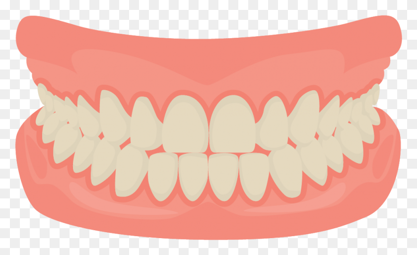 980x571 Human Tooth Smile Mouth Dentistry Teeth Cartoon, Lip, Jaw, Rug HD PNG Download