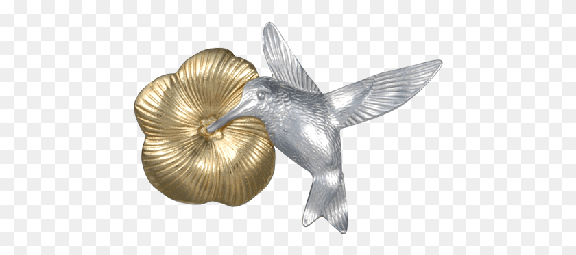 452x313 Colibrí, Hongo, Animal, Pájaro Hd Png