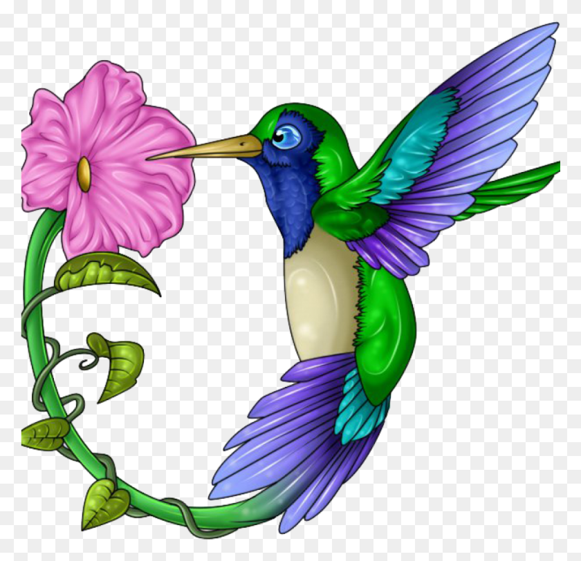 1025x989 Hummingbird Clip Art 19 Hummingbird Clip Art Free Stock Colorful Hummingbird And Flower, Bird, Animal, Bee Eater HD PNG Download